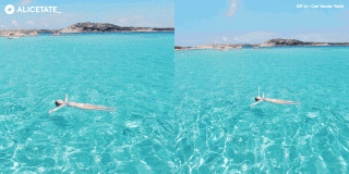 Booking.com: Who Won Booking Summer GIF